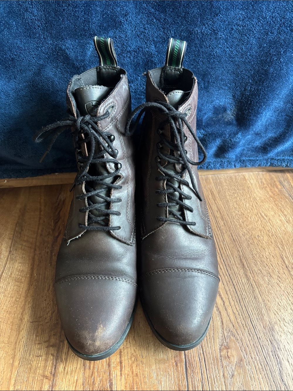 Ariat Dark Brown Leather paddock riding Lace-Up Boots